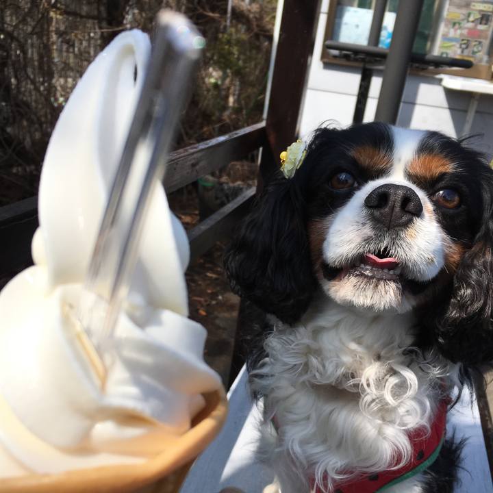 497ad148 aa08 4051 b136 f6723ba2f359 1522646025976