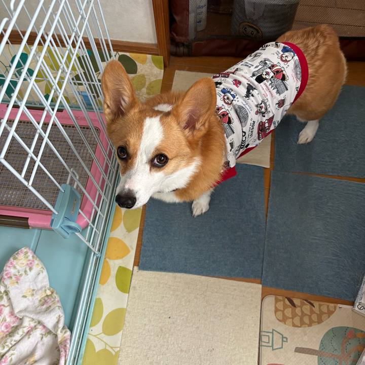 497af947 0b61 4023 9444 e8d90d3adfd5 1761178047906