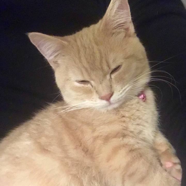 497b1747 0e69 40d0 9c65 9c7734ada3e0 1516798166315