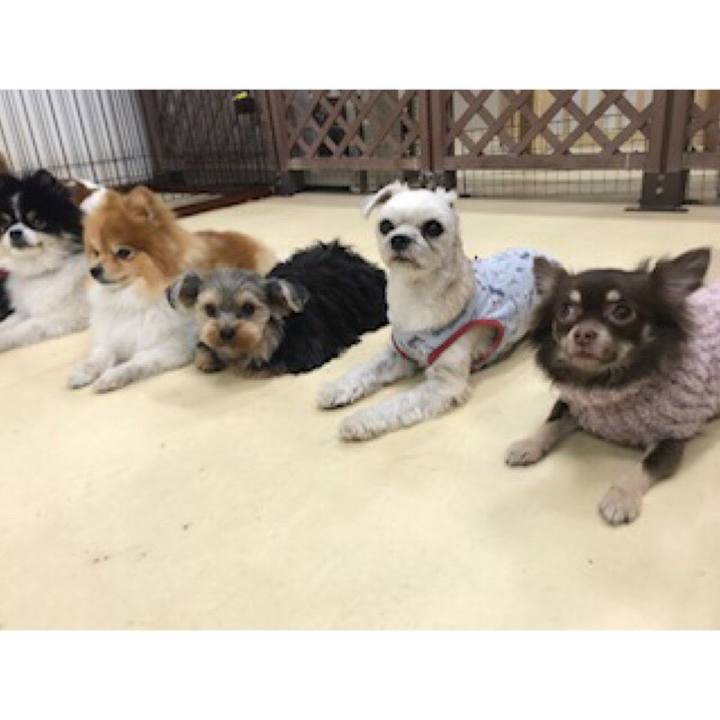 497b2909 f9a9 4da2 b651 69543aeb7486 1547205746556