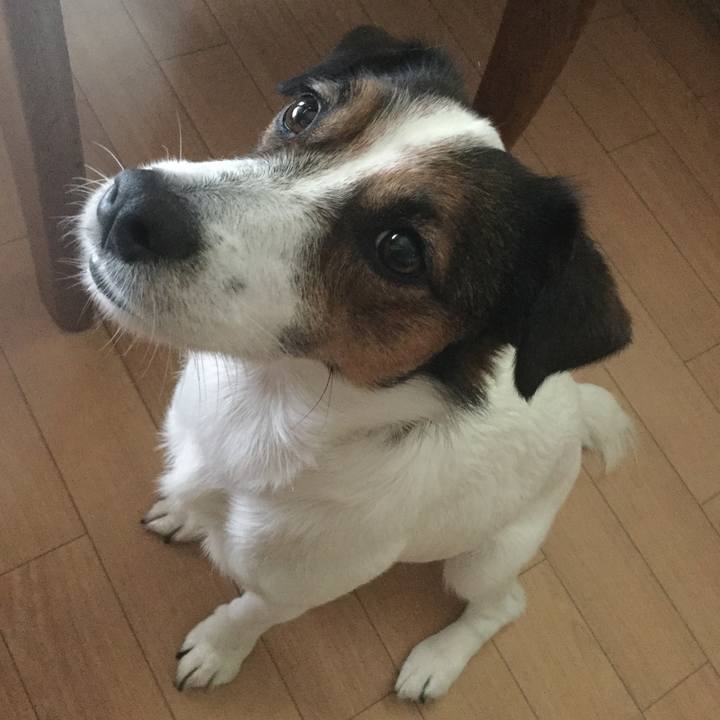 497b5a52 c0bc 48c0 888a f987dd23a504 1534304219326