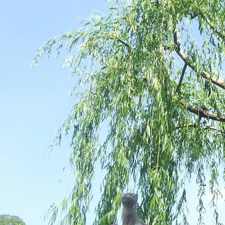 497b93d0 6196 4aeb a27a 22ce3dbffe5a 1556872329863