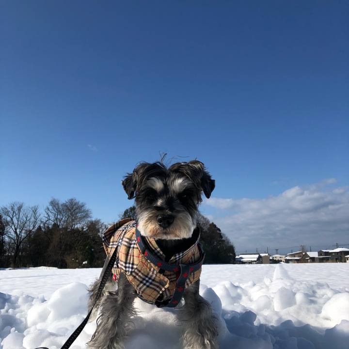 497bb2c2 225f 481d 9ef0 ecce81846a92 1641183252226