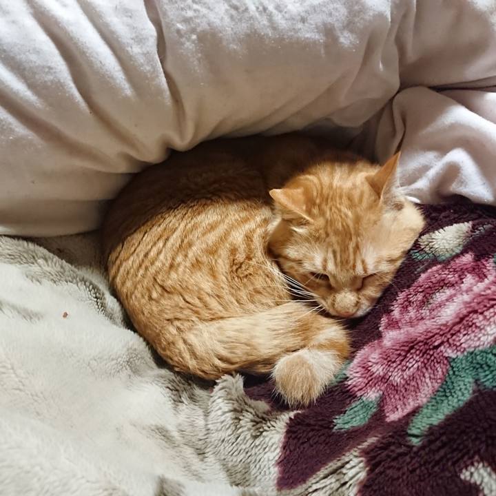 497bc2f5 7aa5 4507 849a 5a0a075d0d5f 1646483839229