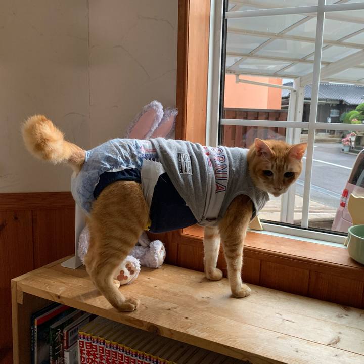 497bde56 d780 489e bda8 4de61fdf56a7 1632260805633