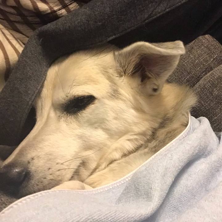 497be7fc 8eec 4dff a123 3b5aaea8e32f 1607261961824