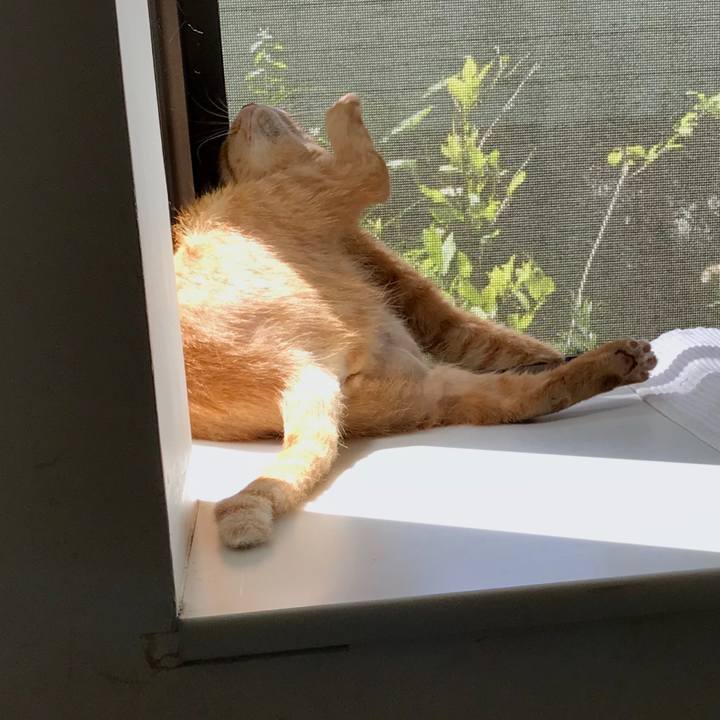 497c4120 c05f 4c69 aa85 8b288da710aa 1565086467935