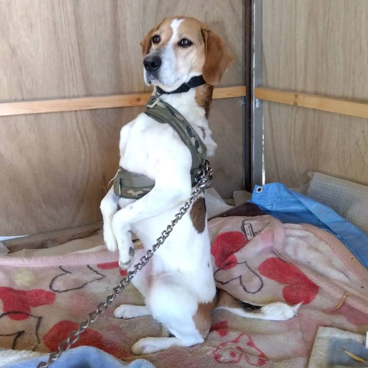 497c4e94 371a 44a8 94d7 ede5f0e30c7b 1684224227512