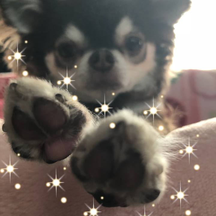 497c771b 0346 4f18 b395 95ad383b2616 1523836790995