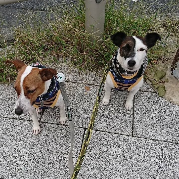 497c7c19 2c24 4ea3 b554 806f574d22a6 1538605847296