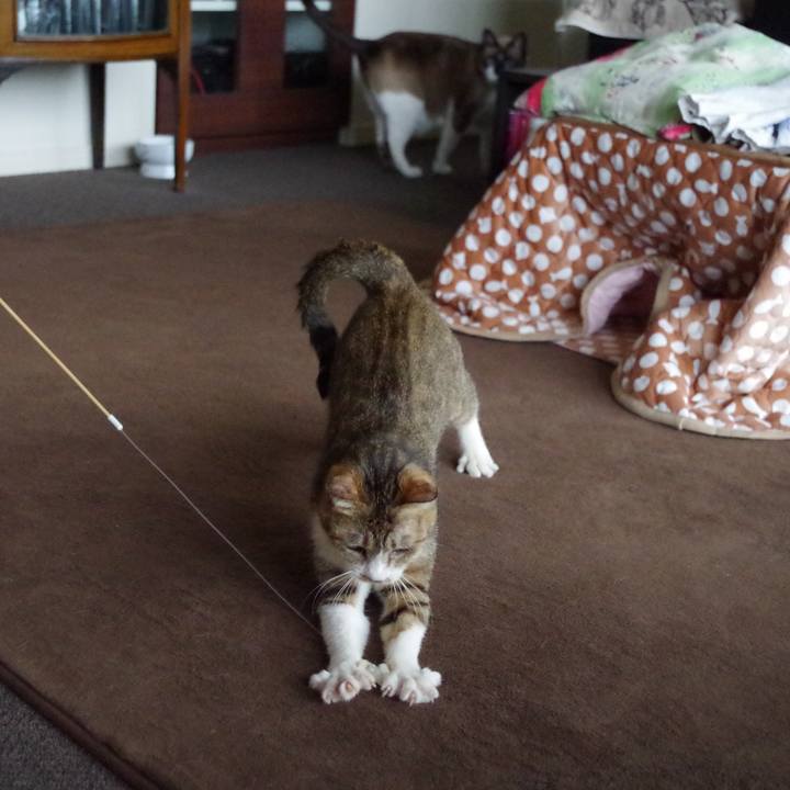 497c8204 3ad9 49ad 884b fad16d37731c 1590979768929