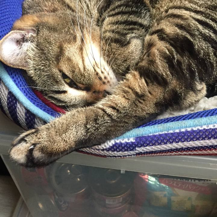 497ca872 c17f 4de0 a499 2166877d8dd0 1517724084042