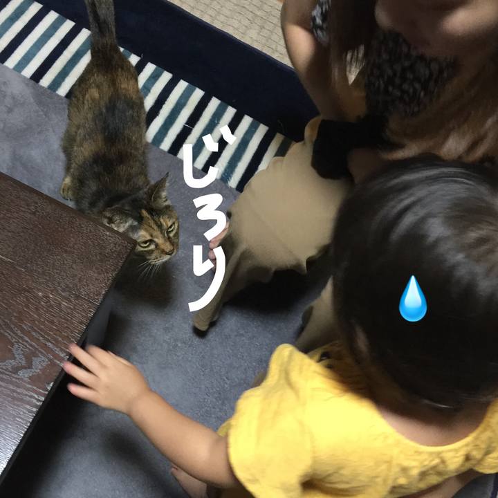 497cbab6 e01d 49d9 abdc c08519e864c5 1534069722933