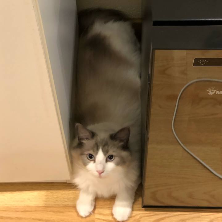 497cc96b ffc7 40a3 9ae4 d7c52cab5816 1565332118678