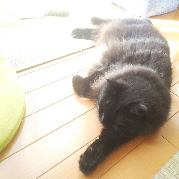 497ccacc 5344 4f6a ac94 8f95511af949 1570665502662