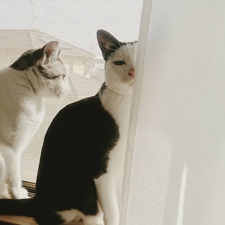 497cda91 1261 415a 852f 8ad15f6c47ed 1508470818000