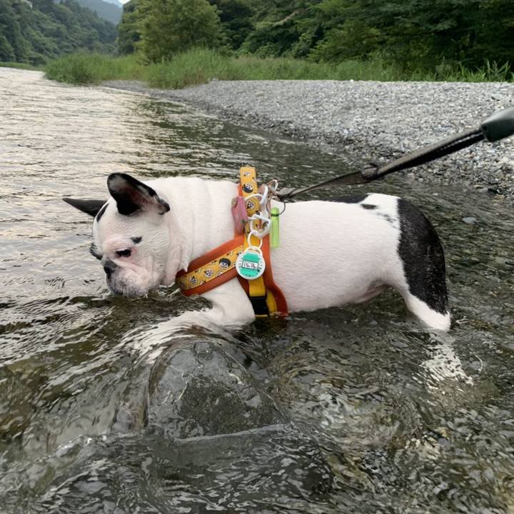 497d197a 0a4c 4754 a045 a5a335b1d212 1566695415148