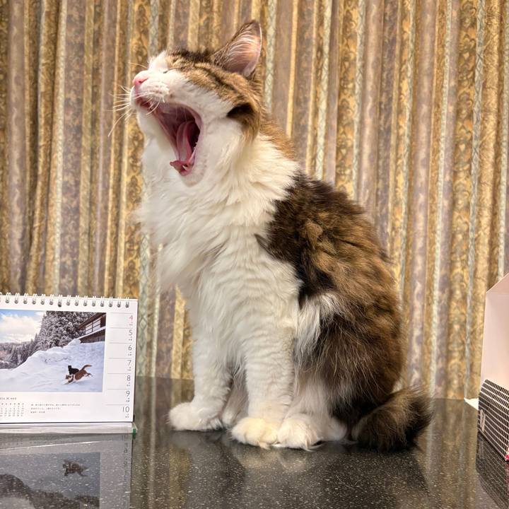 497d51c3 fbc8 49f8 a9db 0dc0dbad5802 1768085329099