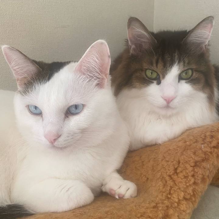 497d93a5 5c16 4dd4 ade1 14421cacb59a 1733697207698