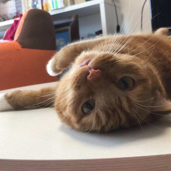 497d982e cdce 438b 959f 71fa999b7df1 1596948022045