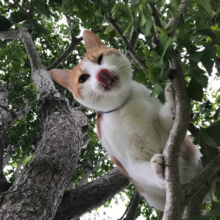 497da517 fff6 47d1 b077 7183d1288d2f 1537430556318