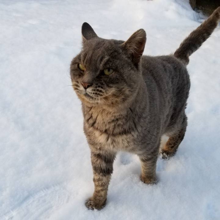 497dbc3f 2c4f 456b 99de 9cd83c76a4eb 1547040666429