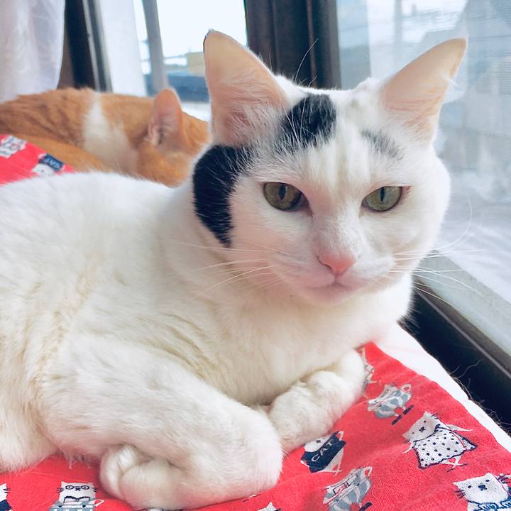 497dcbe9 b6f5 4f46 9142 9fd9896c821d 1583914950653