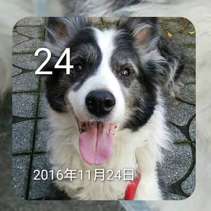 497ddbe8 d7f2 4cb3 8c4e 85ce3695301f 1669271672356
