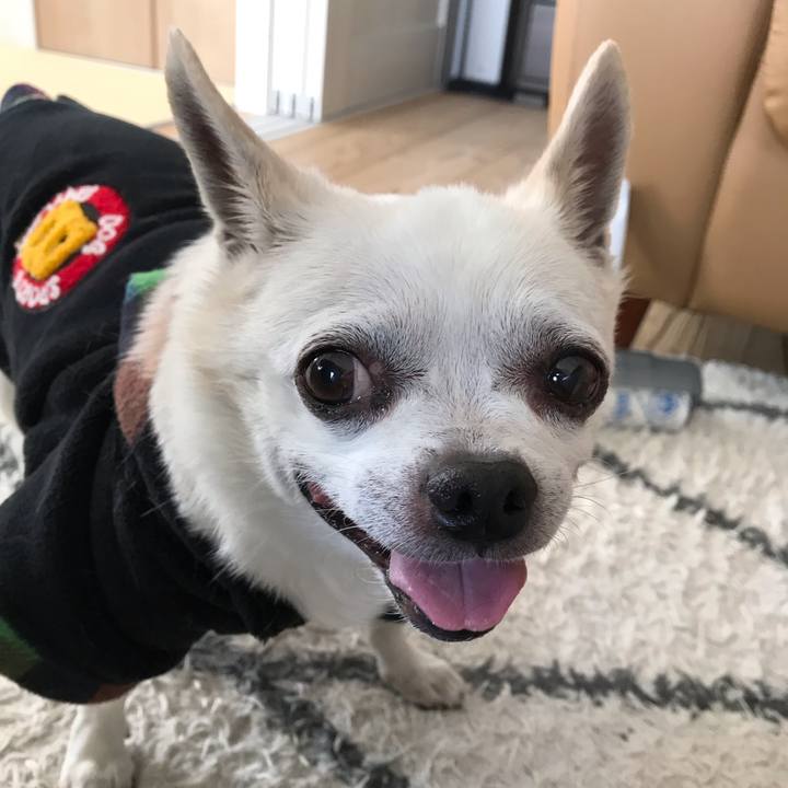 497e0e97 3c5e 4354 9a8b bfb95f484b51 1645060325403