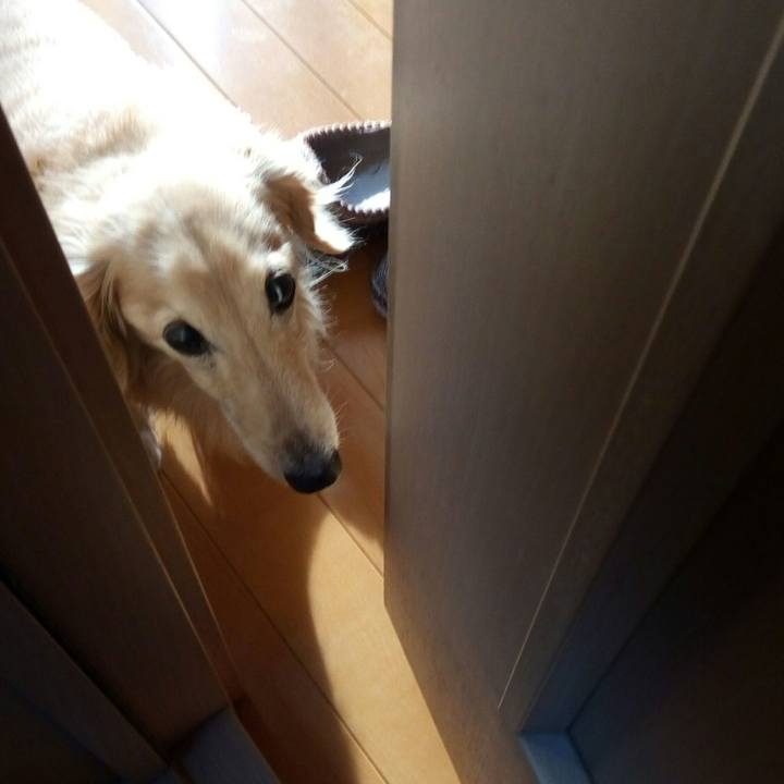 497e0eaf 0fcf 4a7f bcf3 47b79e8be961 1551795978113