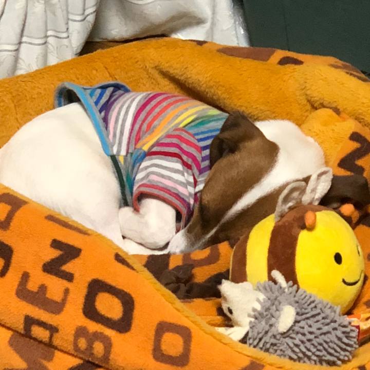 497e108e b99f 456b beb7 e79b3d9e35b6 1523611820995