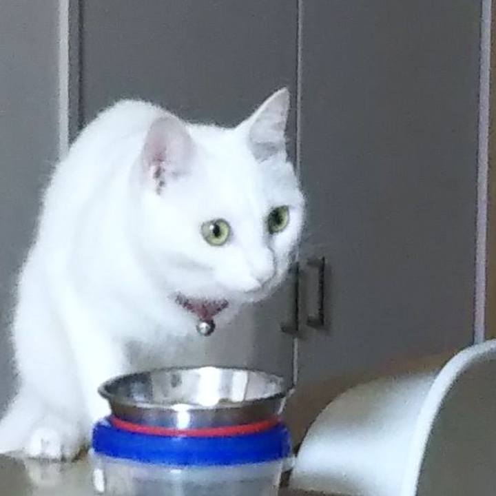 497e200b f43f 4644 bb3f 313fe5a0b74f 1628367006918