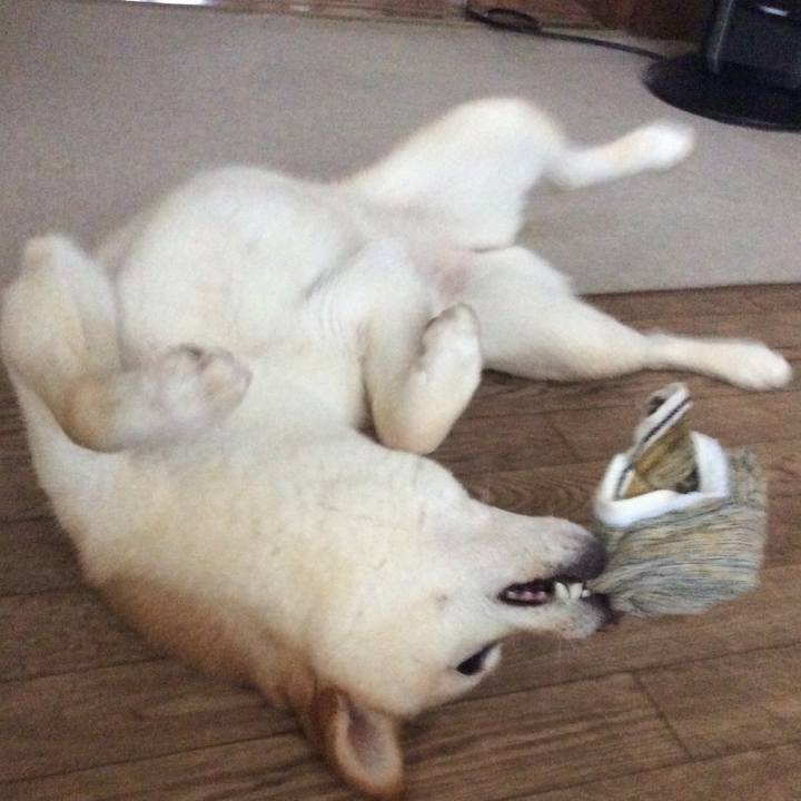 497e3657 1a76 4014 99a3 f927abd54f19 1564205960201