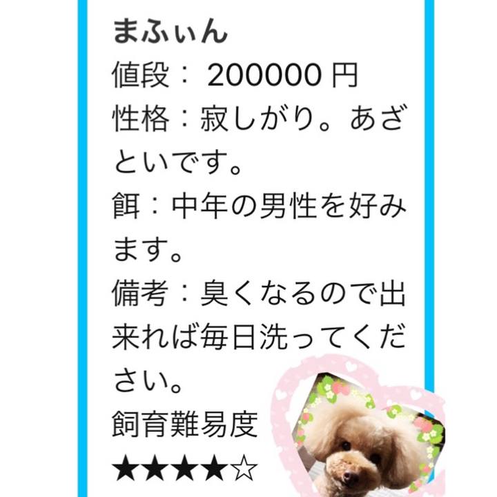 497e3d4e 6351 47d7 9bc4 e97cad6fc865 1529833620237