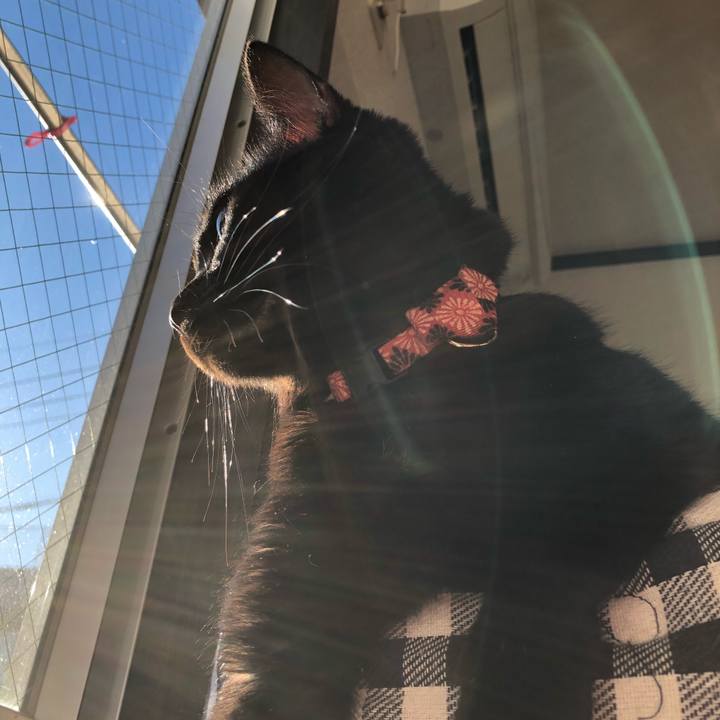 497e4af9 d768 4d09 9760 85a1bf138a7a 1542703781899