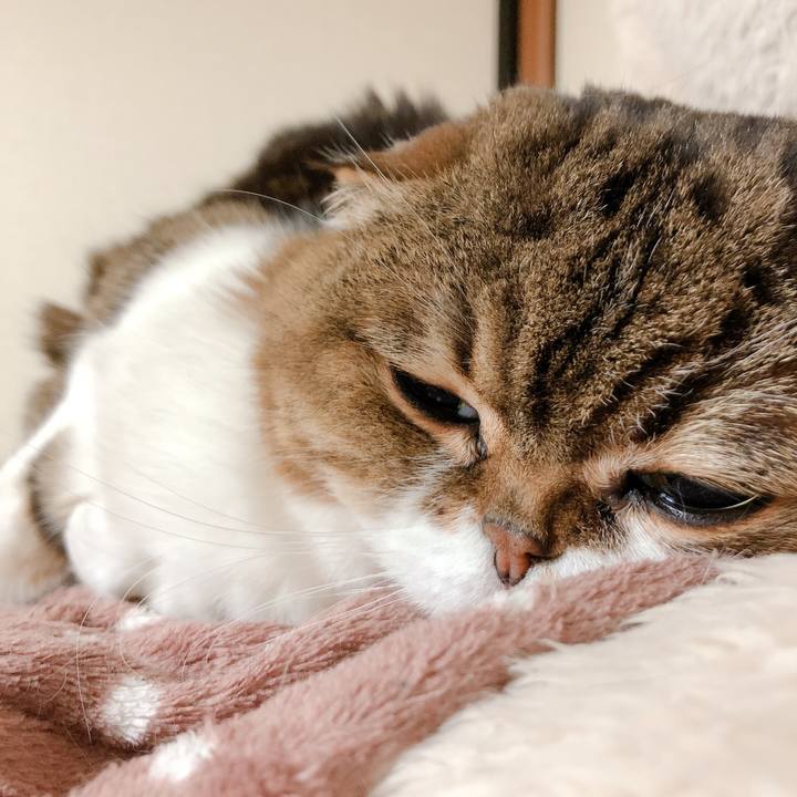 497e5f56 2a5d 4635 ae4e 1f41f0973ef5 1581560065587