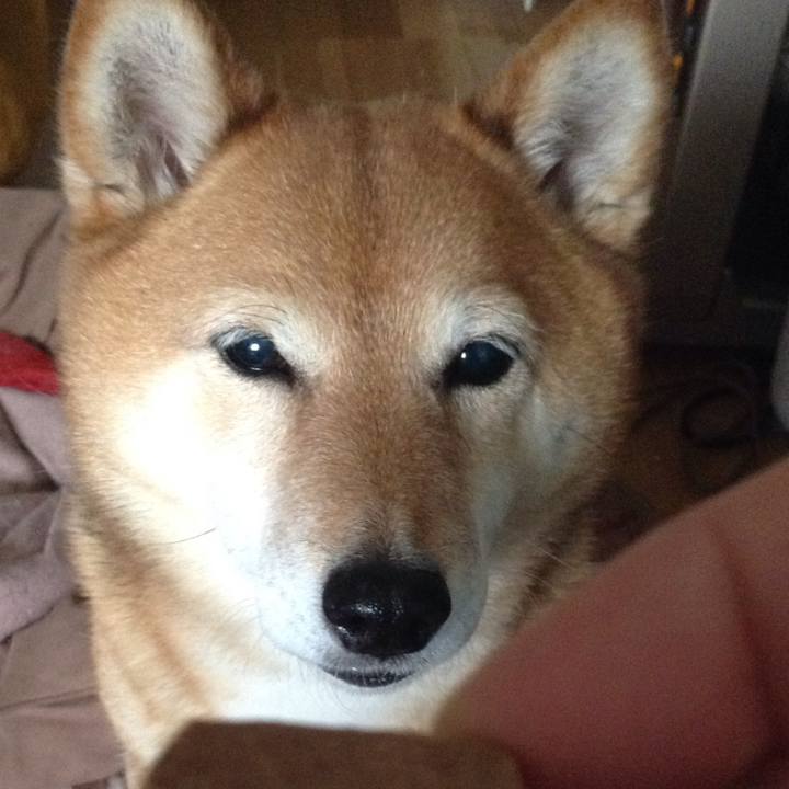 497ea1e2 ef13 48d8 948e 3632c9b8ff03 1557101905224