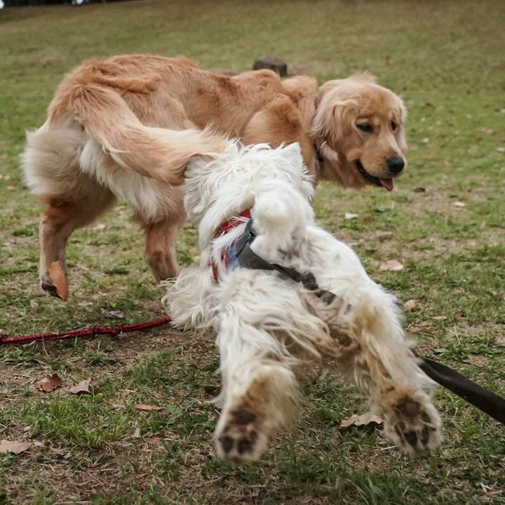 497eae15 c66d 481a b832 dad7d6a1606a 1522934875592