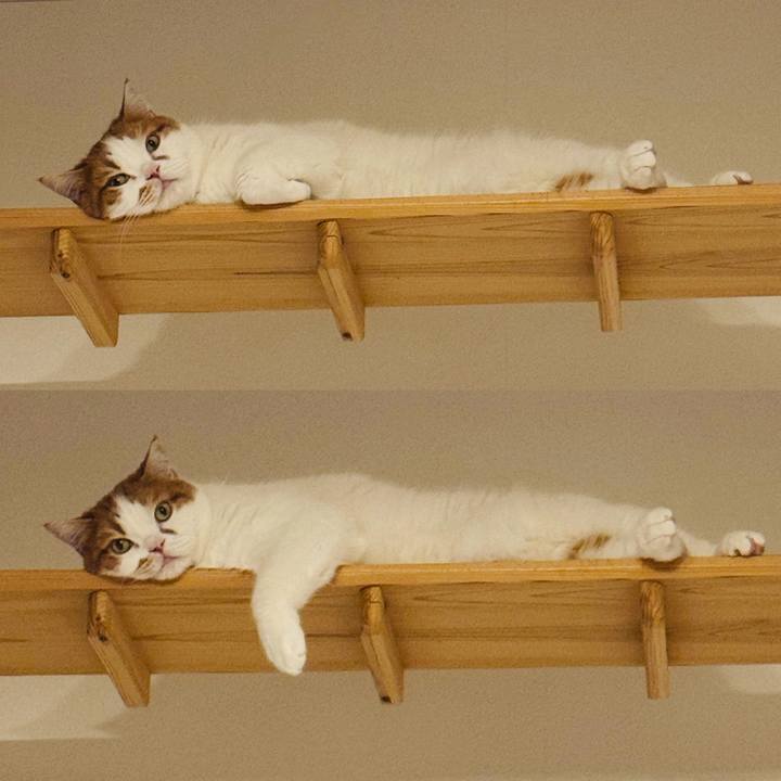 497ef38e 88e5 4c34 9388 73e2425d0577 1770726231731