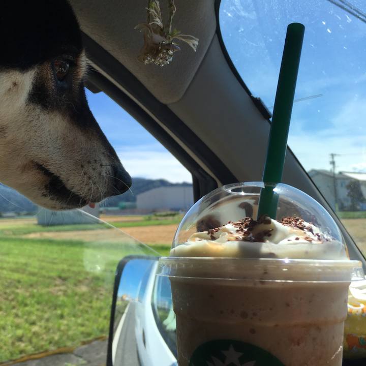 497ef50b 67f6 44b5 8761 6debedcd86a0 1599961661965