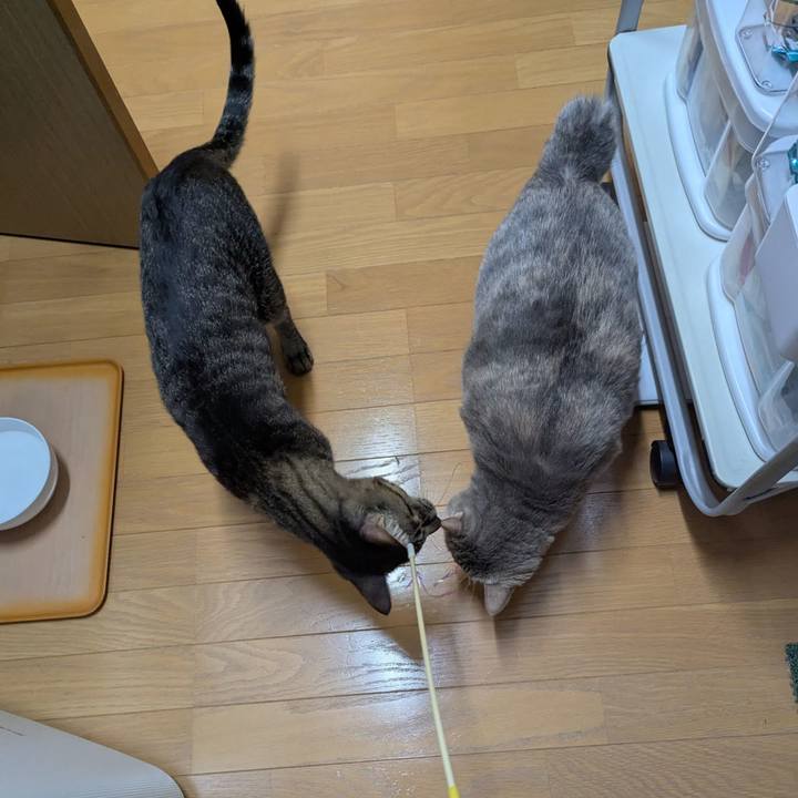 497ef5c6 0d0d 4219 860f cbd32f6c6f37 1735199224843