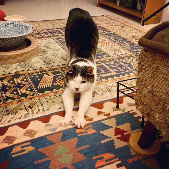 497efa8b c775 444c a595 4f5228048715 1611234554930