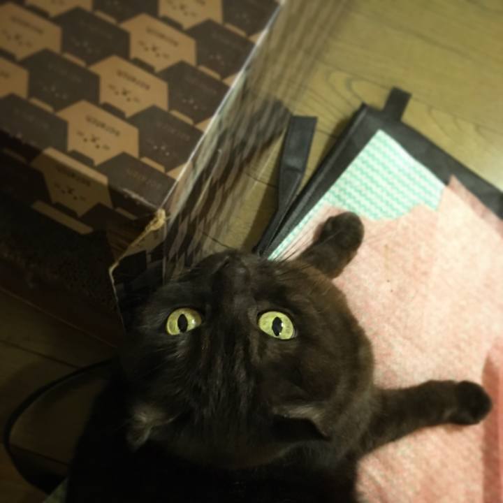 497f0497 5f8c 4f1c b7fa 718a322aae57 1517918589762