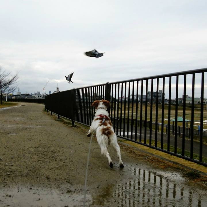 497f15ef 98c0 438e b589 d0a2fbd93193 1551343014217