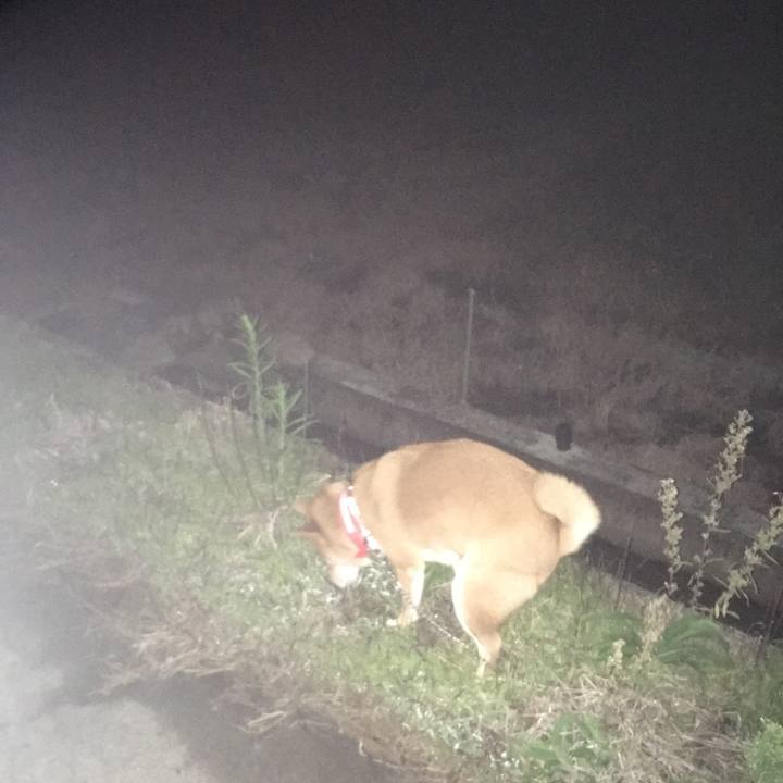 497f3b10 7c8f 4a59 8504 66c6190f4e03 1540870918916