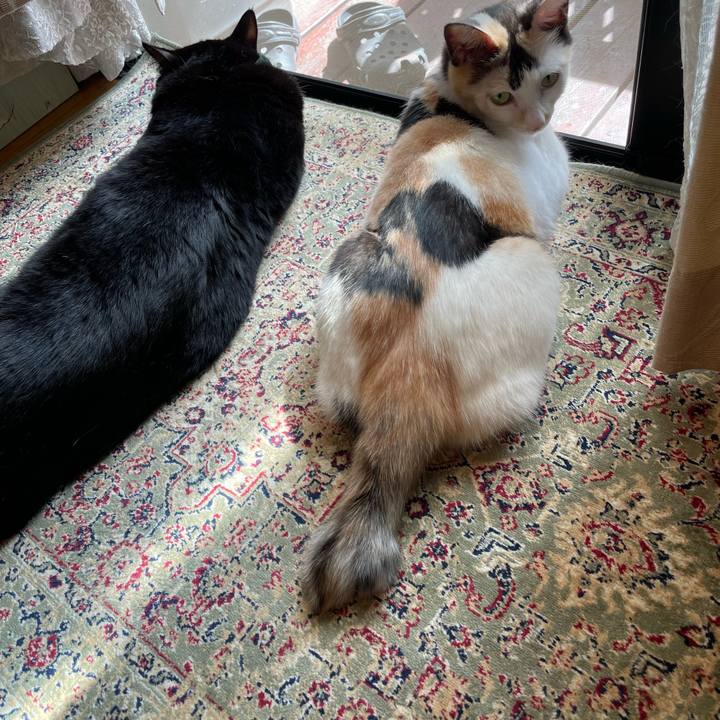 497f4df8 43a2 40a9 bde0 e3ad7f194c42 1727312084544