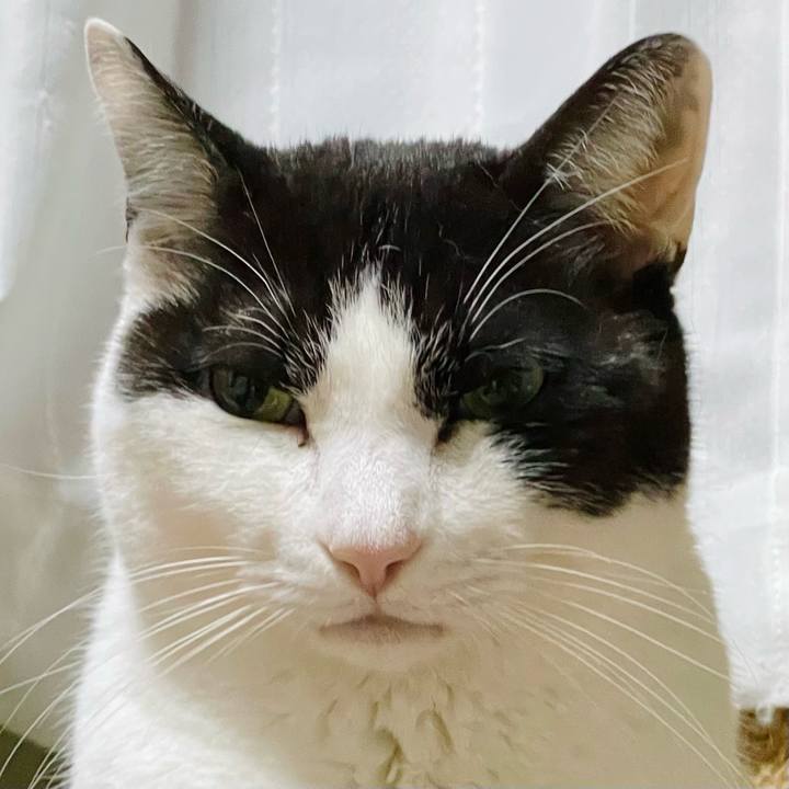 497f69b7 1176 46ea 92cb 3c23c0e525c4 1652757118580