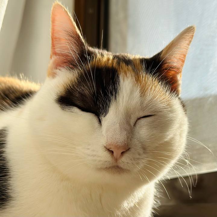 497f8617 278d 4ede 8d57 0071227234e9 1676341186461