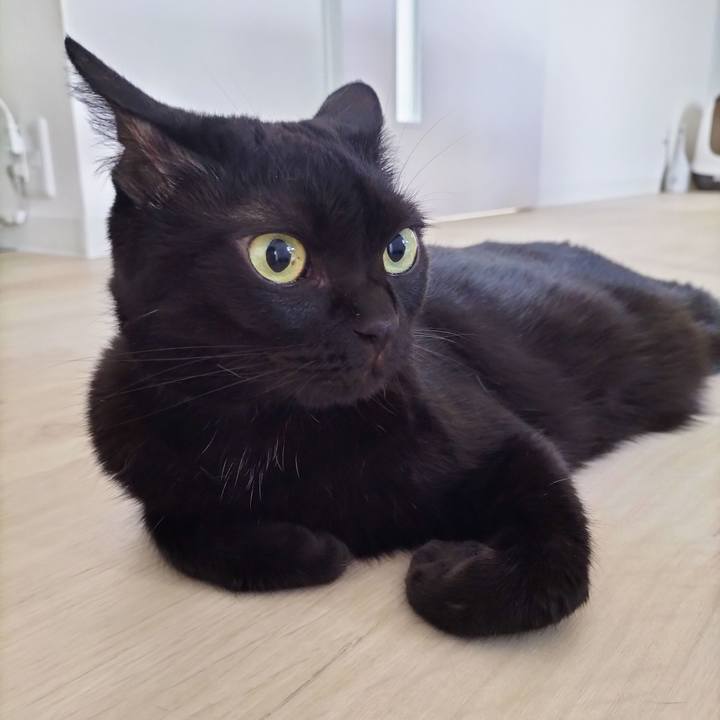 497fd0de 0a92 49dc 91bd c9580cbb4d5e 1695162121514