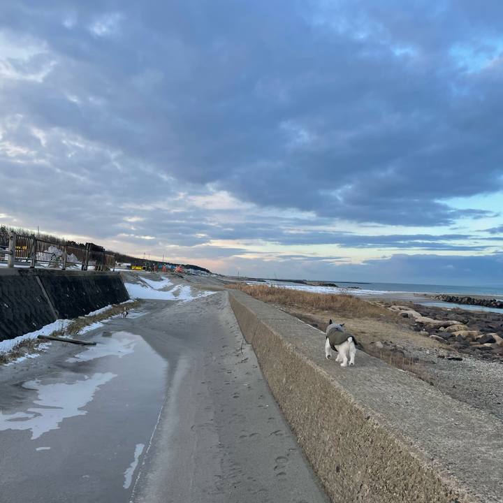 497fe10d 1dda 4e1a a77e 9d8ddeae4030 1641429040799